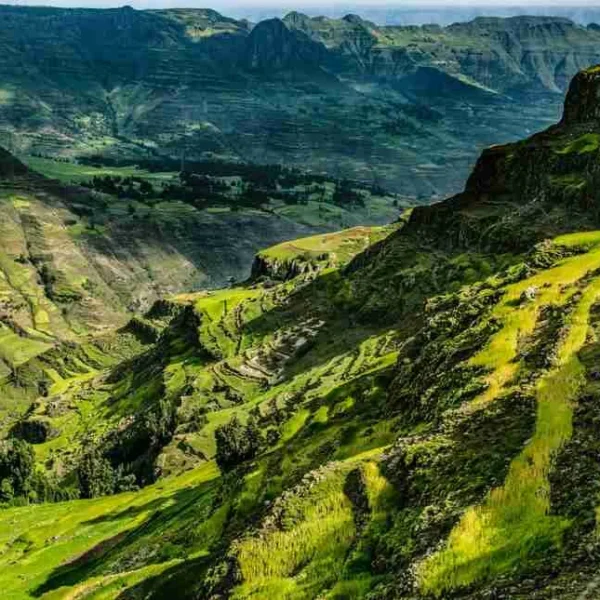Ethiopia holiday packages tours and things to do Adeli Kenya Safaris