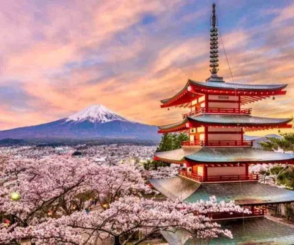 Japan Holiday packages tours hotels attractions and things to do Adeli Kenya Safaris best Africa sustainable safari tours & travel company in Kenya