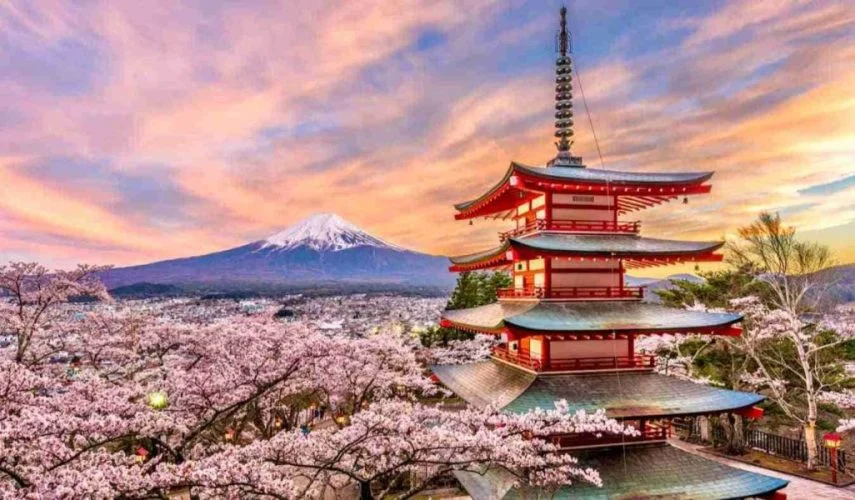 Japan Holiday packages tours hotels attractions and things to do Adeli Kenya Safaris best Africa sustainable safari tours & travel company in Kenya