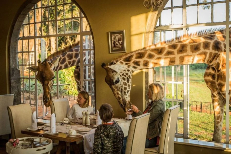 Giraffe Manor