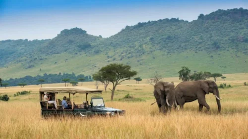 Masai Mara National Reserve 1