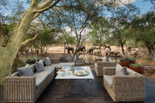 Header elephants at waterhole at luxury andbeyond ngala safari lodge close to kruger national park in south africa1 1536x864 1