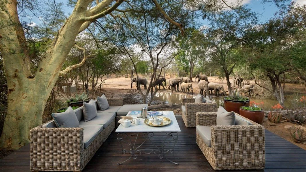 Header elephants at waterhole at luxury andbeyond ngala safari lodge close to kruger national park in south africa1 1536x864 1