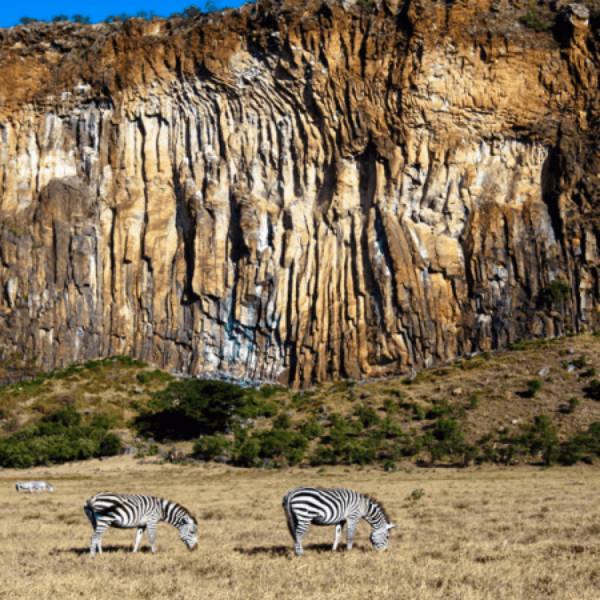 Hell’s Gate and Lake Naivasha Day Trip from Nairobi