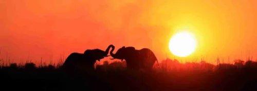 Africa photographic safari tours in Kenya and Tanzania sunset and elephants at Amboseli National Park in Kenya Adeli Kenya Safaris best Africa sustainable safari tour company in Kenya.