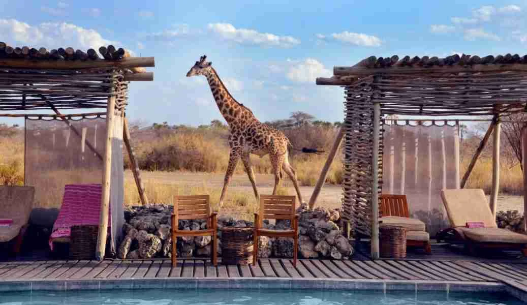 Africa wellness safaris Chem Chem Lodge Lake Manyara National Park Tanzania Adeli Kenya Safaris best Africa sustainable safari tour company in Kenya.