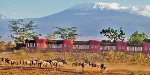 Amboseli Serena Safari Lodge   Amboseli National Park  Adeli Kenya Safaris   best Africa sustainable safari tour company in Kenya.