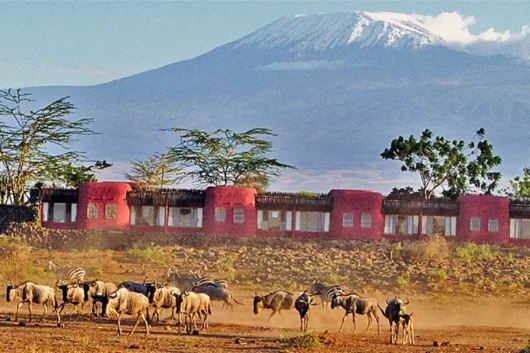 Amboseli Serena Safari Lodge Amboseli National Park Adeli Kenya Safaris best Africa sustainable safari tour company in Kenya.