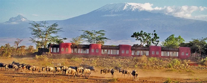 Amboseli Serena Safari Lodge   Amboseli National Park  Adeli Kenya Safaris   best Africa sustainable safari tour company in Kenya.