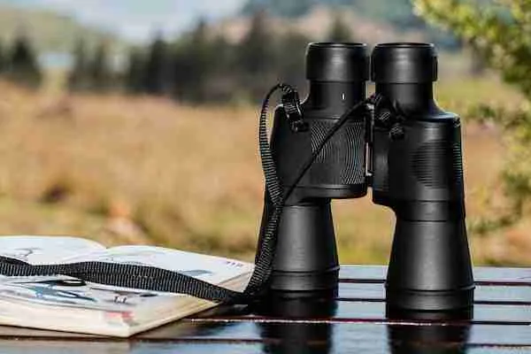 Best binoculars for an African safari