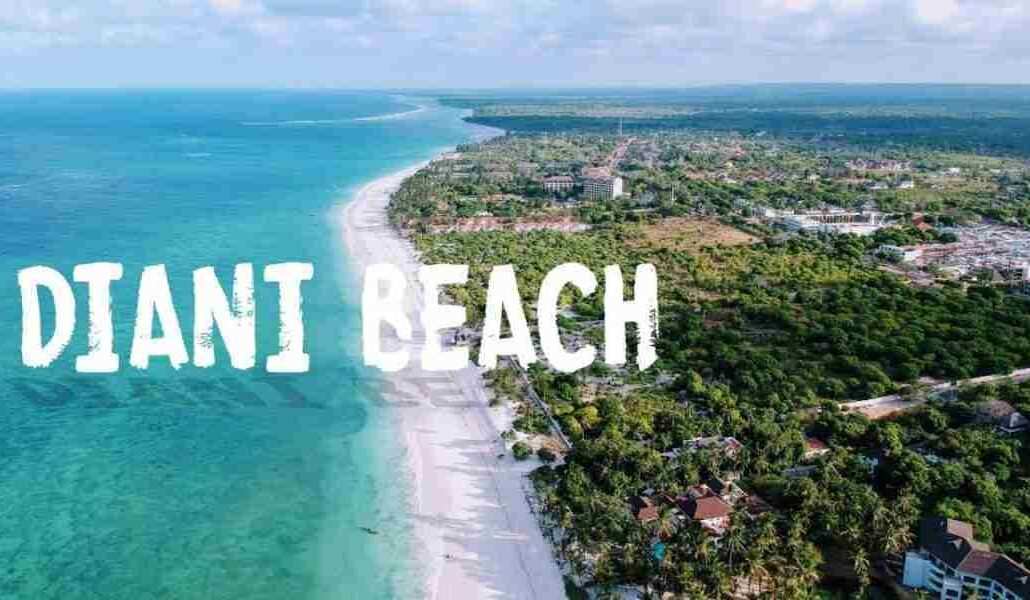 Diani Beach Kenya   Adeli Kenya Safaris   best Africa sustainable safari tour company in Kenya