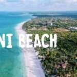 Diani Beach Kenya   Adeli Kenya Safaris   best Africa sustainable safari tour company in Kenya