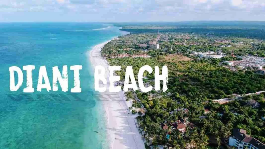 Diani Beach Kenya Adeli Kenya Safaris best Africa sustainable safari tour company in Kenya