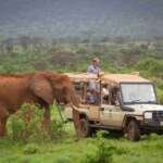 Elephant Bedroom Camp   Samburu   Adeli Kenya Safaris   best Africa sustainable safari tour company in Kenya