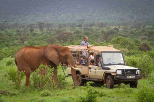 Elephant Bedroom Camp Samburu Adeli Kenya Safaris best Africa sustainable safari tour company in Kenya