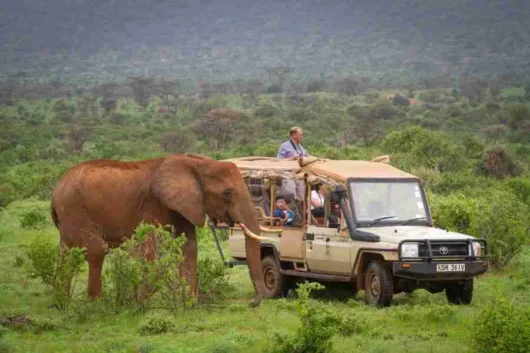 Elephant Bedroom Camp Samburu Adeli Kenya Safaris best Africa sustainable safari tour company in Kenya