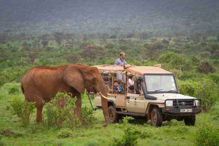 Elephant Bedroom Camp   Samburu   Adeli Kenya Safaris   best Africa sustainable safari tour company in Kenya