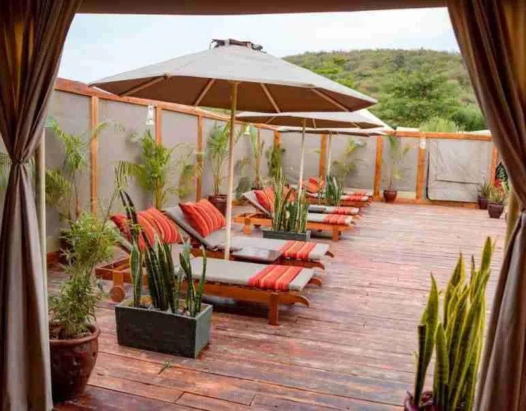 Kenya Family safaris Zebra Plains Mara Camp Masai Mara Adeli Kenya Safaris best Africa sustainable safari tour company in Kenya (2)