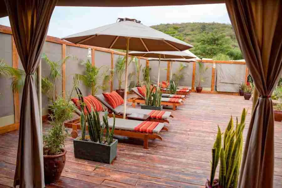 Kenya Family safaris Zebra Plains Mara Camp Masai Mara Adeli Kenya Safaris best Africa sustainable safari tour company in Kenya (2)
