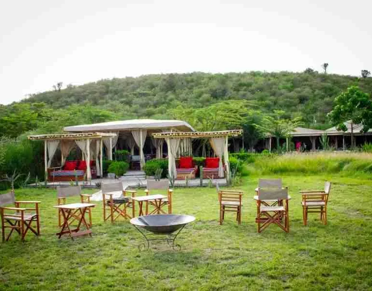 Kenya Family safaris Zebra Plains Mara Camp Masai Mara Adeli Kenya Safaris best Africa sustainable safari tour company in Kenya (3)