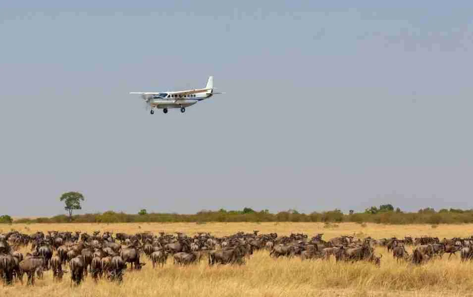 Kenya Flight safari tours Adeli Kenya Safaris best Africa sustainable safari tour company in Kenya (1)