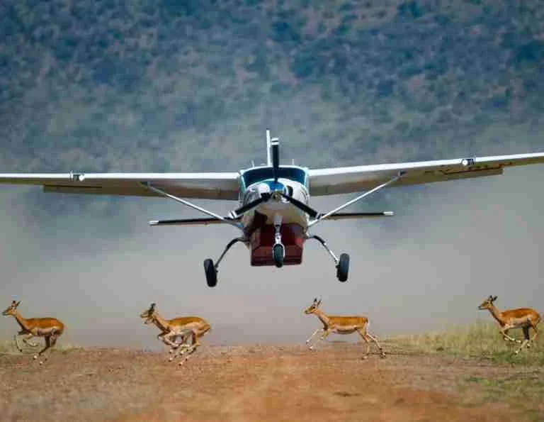 Kenya Flight safari tours Adeli Kenya Safaris best Africa sustainable safari tour company in Kenya (2)