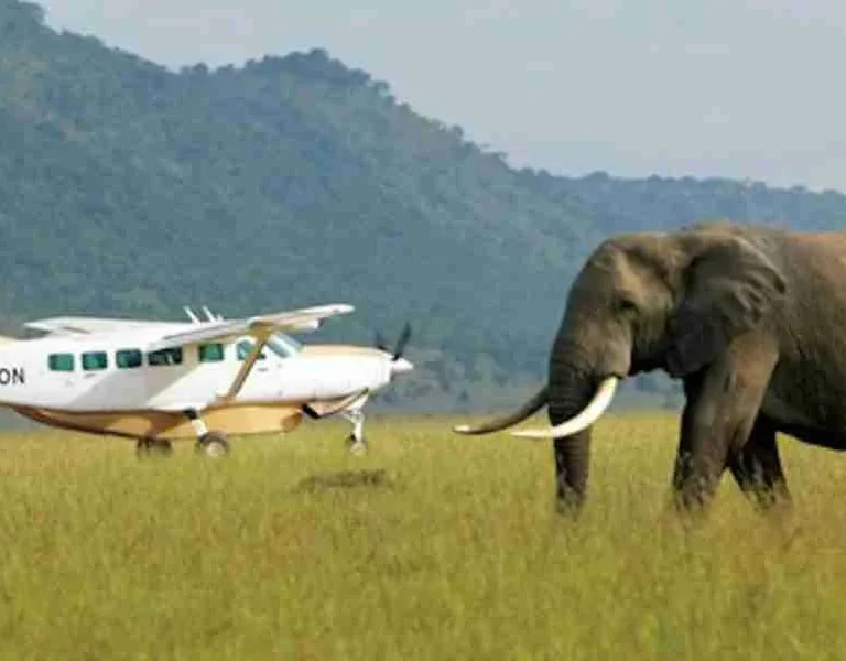 Kenya Flight safari tours Adeli Kenya Safaris best Africa sustainable safari tour company in Kenya (3)