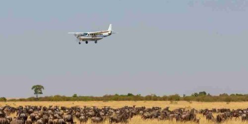 Kenya flying safaris