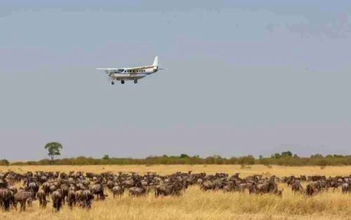 Kenya flying safaris