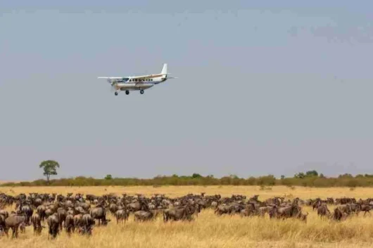 Kenya flying safaris