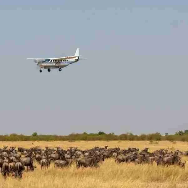 Kenya Flying safari tours.jpg