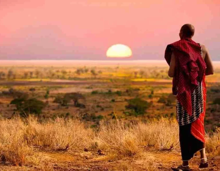 Maasai Adeli Kenya Safaris best Africa sustainable safari tour company in Kenya