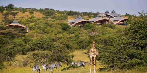 Masai Mara Mahali Mzuri Camp   Adeli Kenya Safaris   best Africa sustainable safari tour company in Kenya