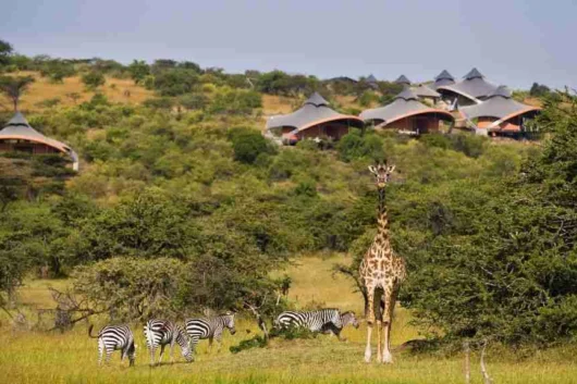Masai Mara Mahali Mzuri Camp Adeli Kenya Safaris best Africa sustainable safari tour company in Kenya