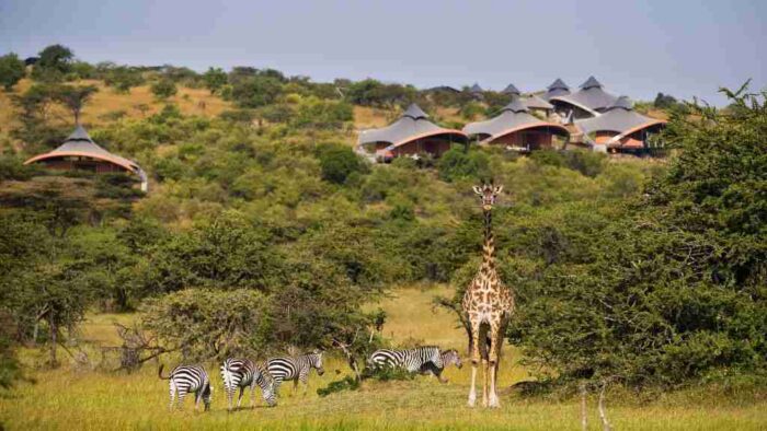 Masai Mara Mahali Mzuri Camp   Adeli Kenya Safaris   best Africa sustainable safari tour company in Kenya