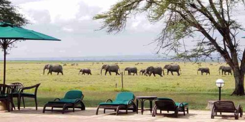 Oltukai Lodge   Amboseli National Park  Adeli Kenya Safaris   best Africa sustainable safari tour company in Kenya