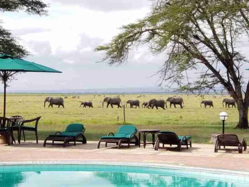 Oltukai Lodge Amboseli National Park Adeli Kenya Safaris best Africa sustainable safari tour company in Kenya