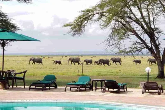 Oltukai Lodge Amboseli National Park Adeli Kenya Safaris best Africa sustainable safari tour company in Kenya
