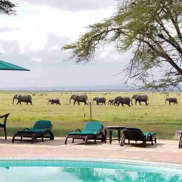 Oltukai Lodge Amboseli National Park Adeli Kenya Safaris best Africa sustainable safari tour company in Kenya