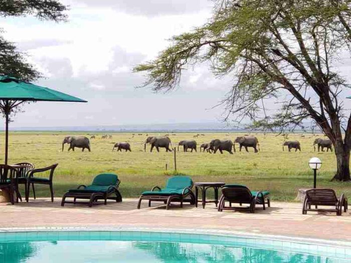 Oltukai Lodge   Amboseli National Park  Adeli Kenya Safaris   best Africa sustainable safari tour company in Kenya