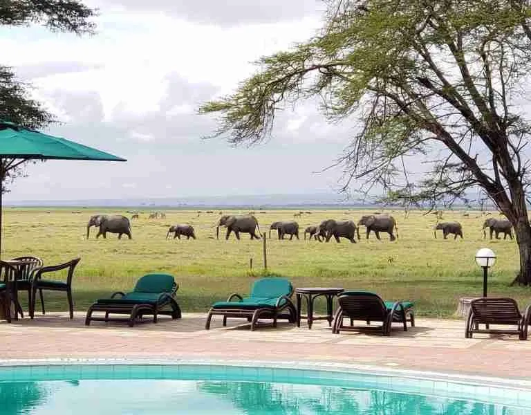 Oltukai Lodge   Amboseli National Park  Adeli Kenya Safaris   best Africa sustainable safari tour company in Kenya