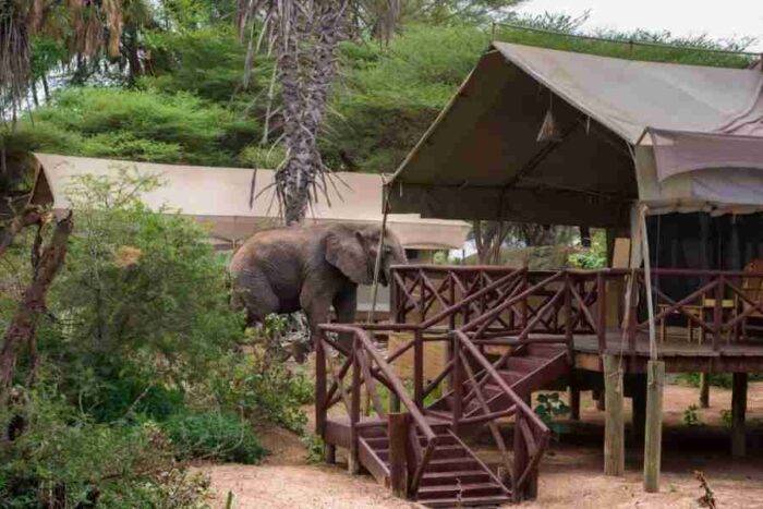 Samburu Elephant Bedroom Camp  Adeli Kenya Safaris   best Africa sustainable safari tour company in Kenya