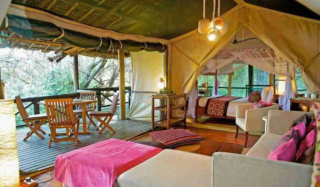 Samburu Intrepids Camp  Adeli Kenya Safaris   best Africa sustainable safari tour company in Kenya