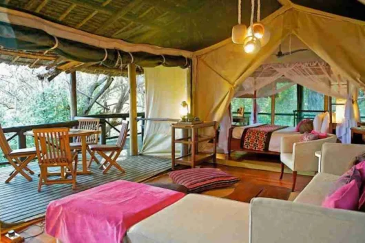 Samburu Intrepids Camp Adeli Kenya Safaris best Africa sustainable safari tour company in Kenya