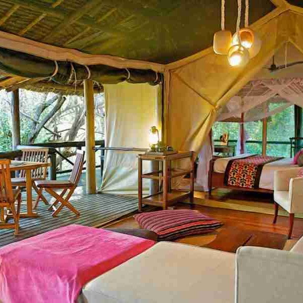 Samburu Intrepids Camp Adeli Kenya Safaris best Africa sustainable safari tour company in Kenya