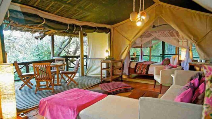 Samburu Intrepids Camp  Adeli Kenya Safaris   best Africa sustainable safari tour company in Kenya