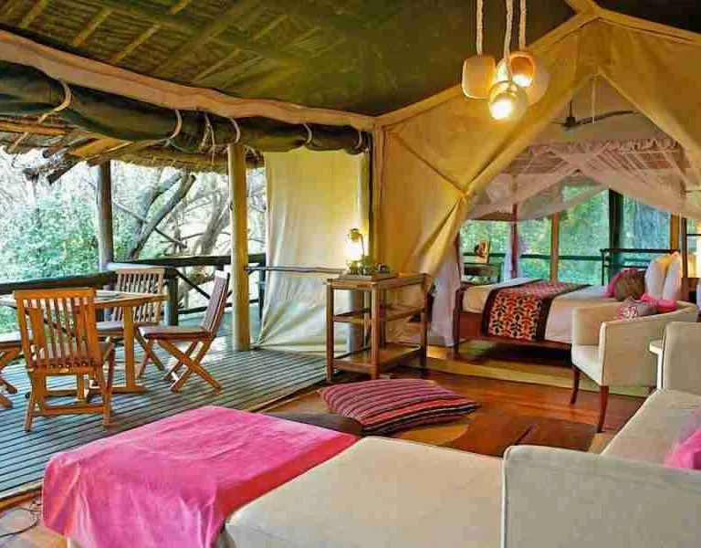 Samburu Intrepids Camp  Adeli Kenya Safaris   best Africa sustainable safari tour company in Kenya