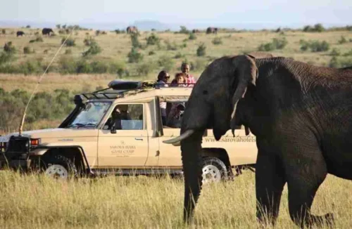 Sarova Mara Game camp Luxury hotels safari lodges and tented camps at Masai Mara National Reserve Adeli Kenya Safaris best Africa sustainable safari tour company in Kenya