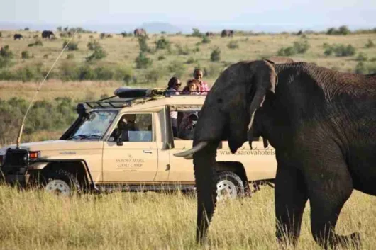 Sarova Mara Game camp Luxury hotels safari lodges and tented camps at Masai Mara National Reserve Adeli Kenya Safaris best Africa sustainable safari tour company in Kenya