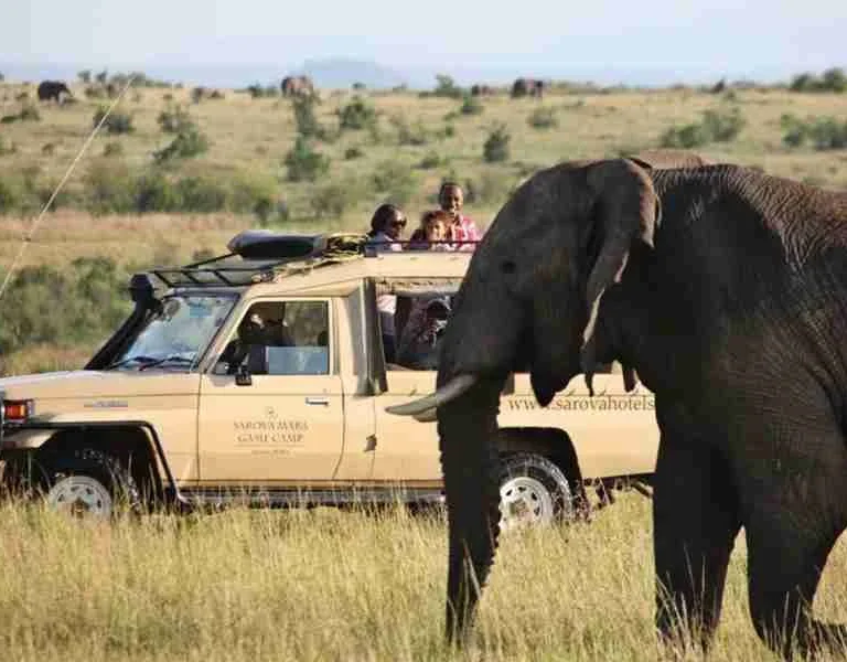 Sarova Mara Game camp Luxury hotels safari lodges and tented camps at Masai Mara National Reserve Adeli Kenya Safaris best Africa sustainable safari tour company in Kenya